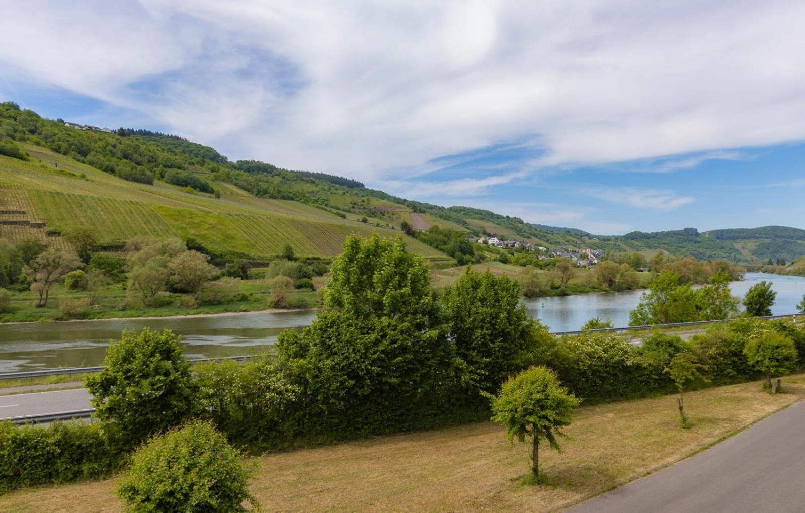 Ferienwohnung Moselgold Burg  Екстериор снимка